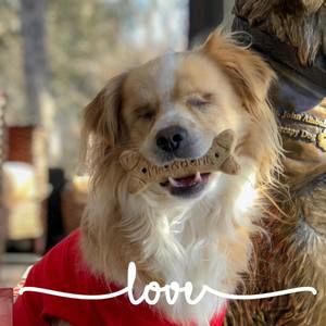 Meet your Posher, Joanne